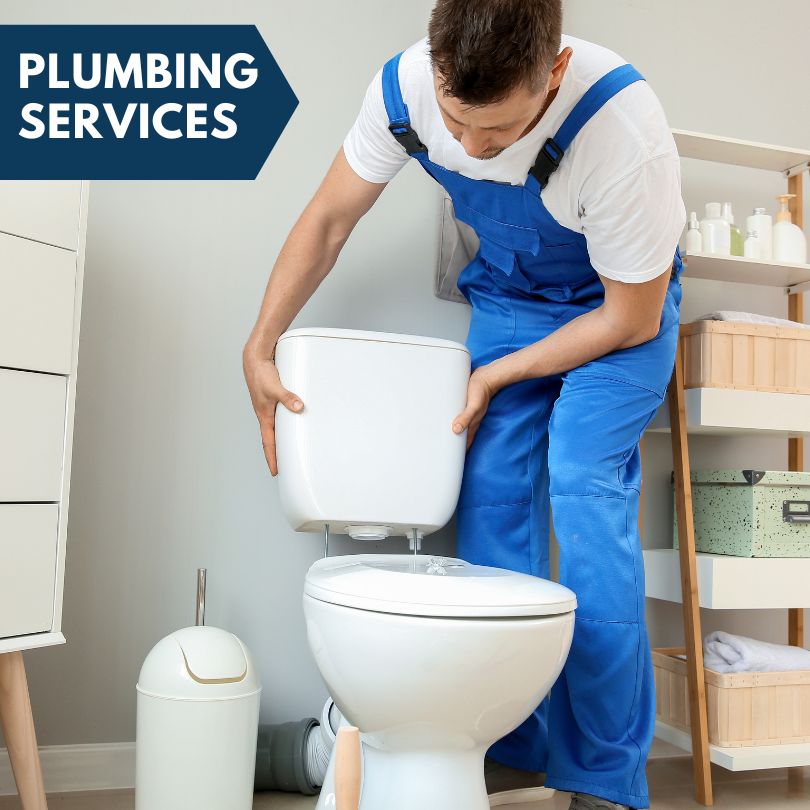 Plumbing Company in Mount Erie, IL